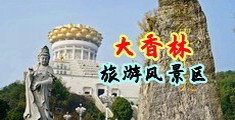 美妞逼流水中国浙江-绍兴大香林旅游风景区